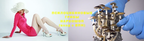спиды Горнозаводск