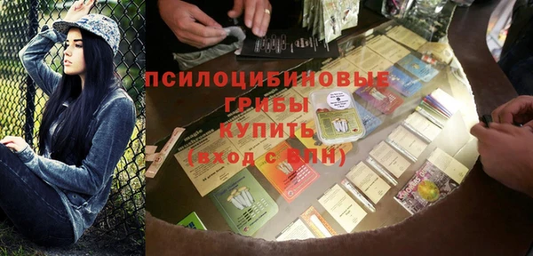 спиды Горнозаводск