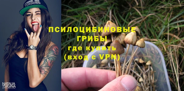 мет Горно-Алтайск