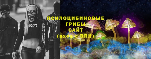 мет Горно-Алтайск
