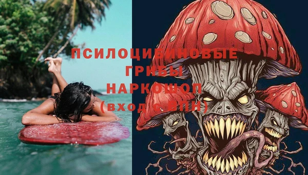 спиды Горнозаводск