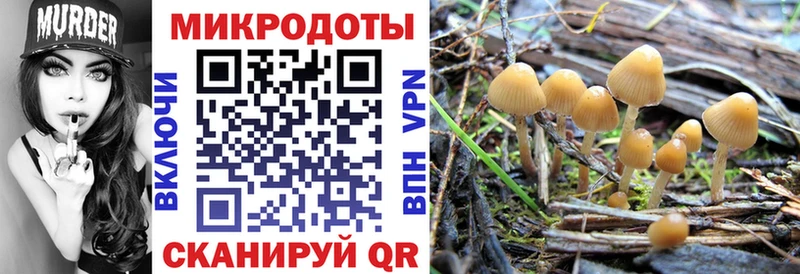 Купить  Медынь  Галлюциногенные грибы GOLDEN TEACHER 